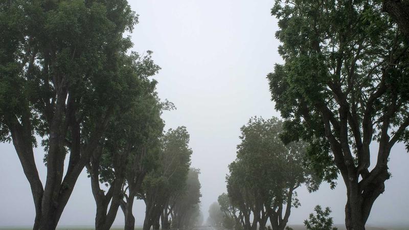 Sustainable Development in Concrete Admixtures: Green Chemistry and Carbon Reduction Lead the Way